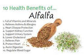 Alfalfa Powder- 4oz - EROS NECTAR